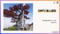 2025年7月29日 (二) 09:13版本的缩略图